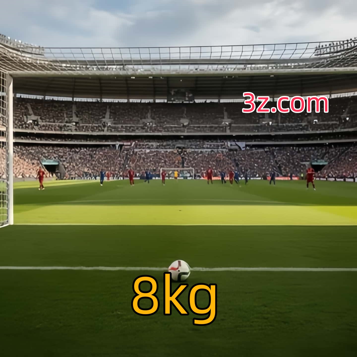 8kg